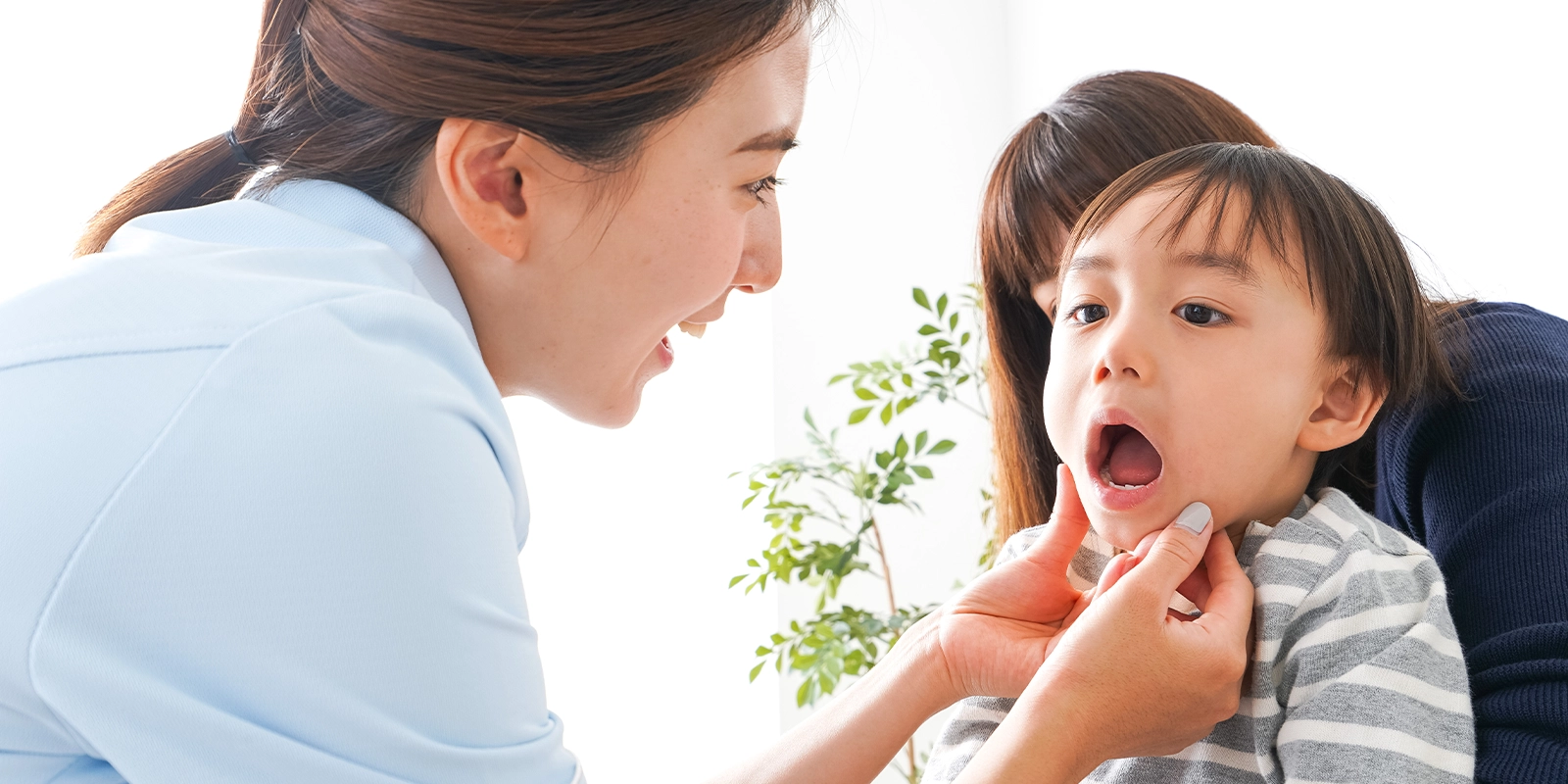 小児矯正の仕組み